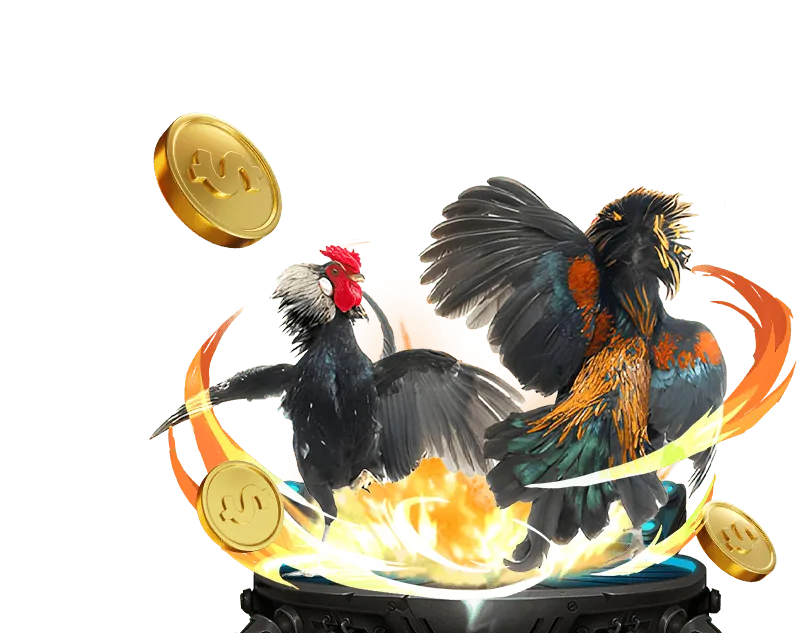 Gà 6789 cờ bạc có trách nhiệm